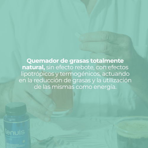 C&Oacute;MODA COMO SILL&Oacute;N NUEVO